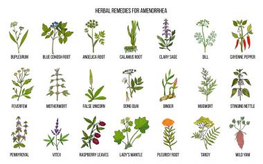 Herbal treatments for absence of periods