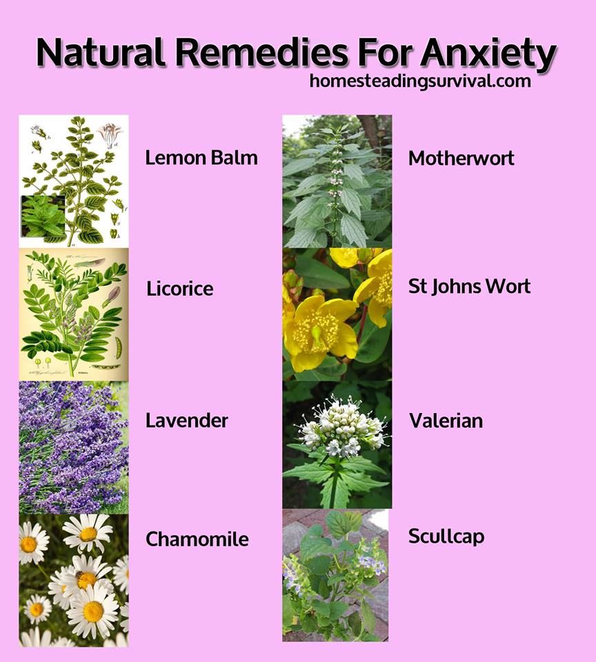 Herbal remedies