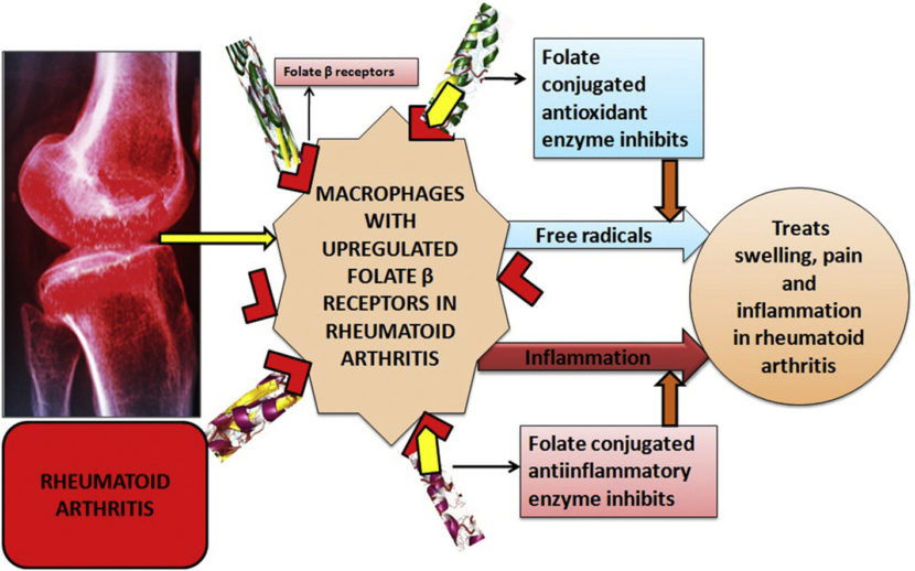 Treatment for Arthritis Philadelphia Homeopathic Clinic Dr. Tsan