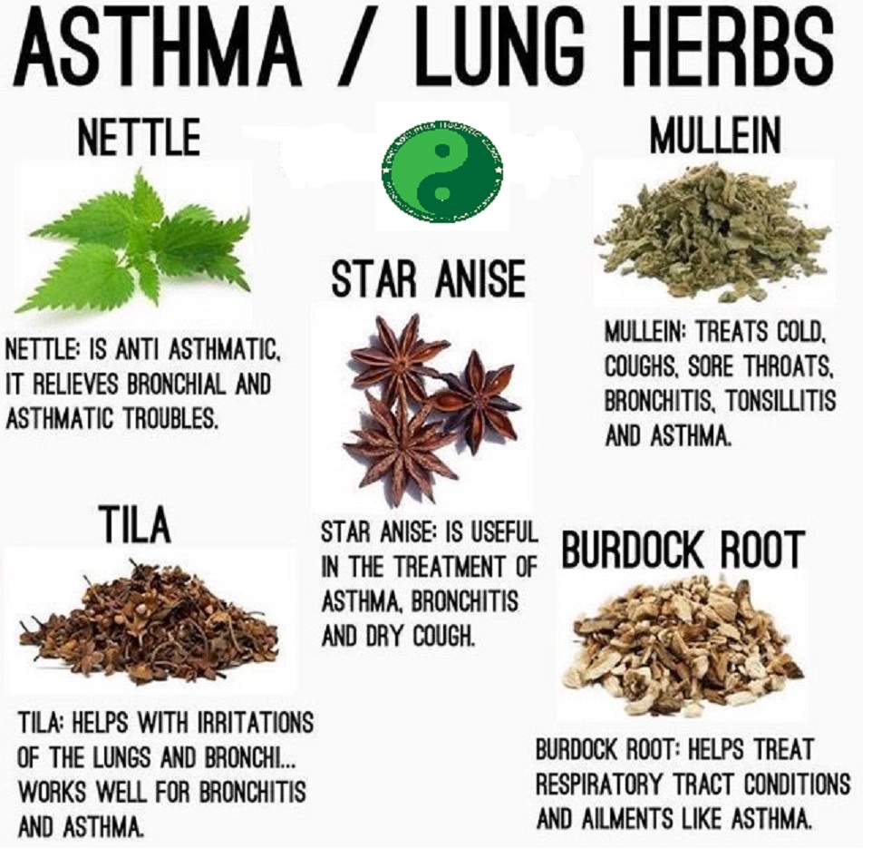 Herbs for asthma