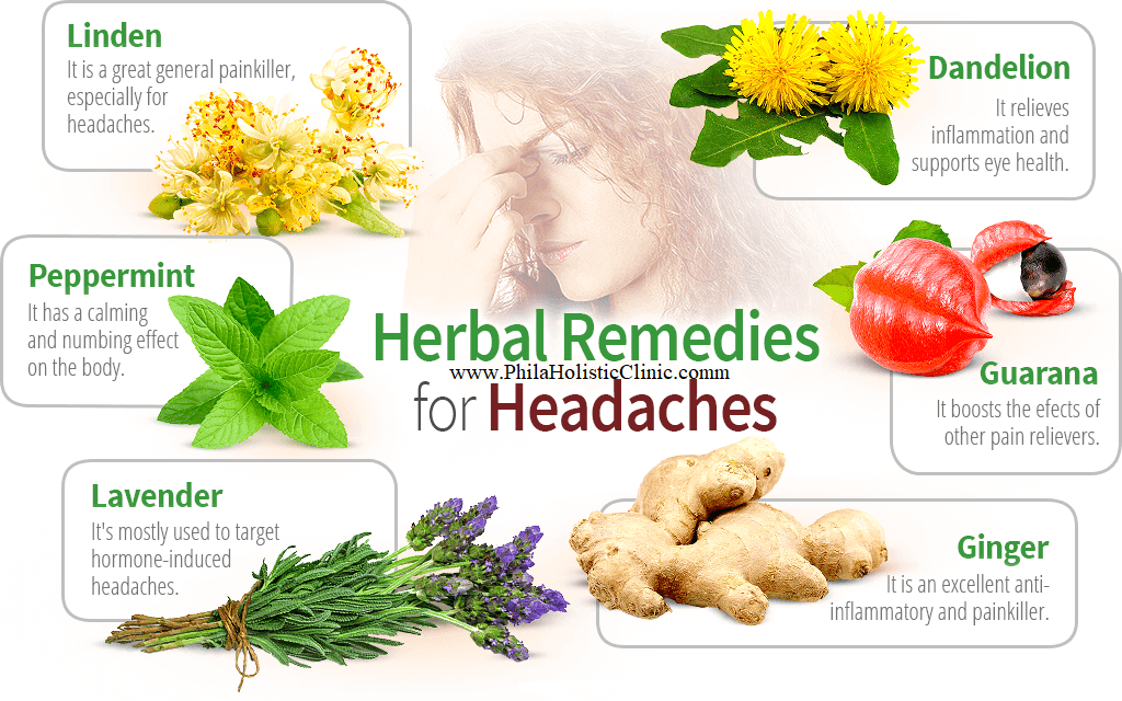 Headaches herbs
