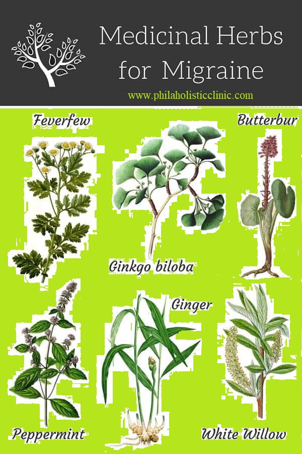 Migraine herbs
