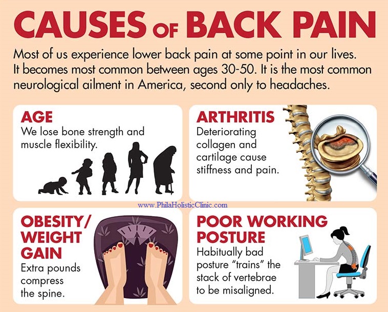 Back pain causes