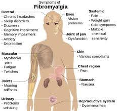 Fibromyalgia Symptoms  in women