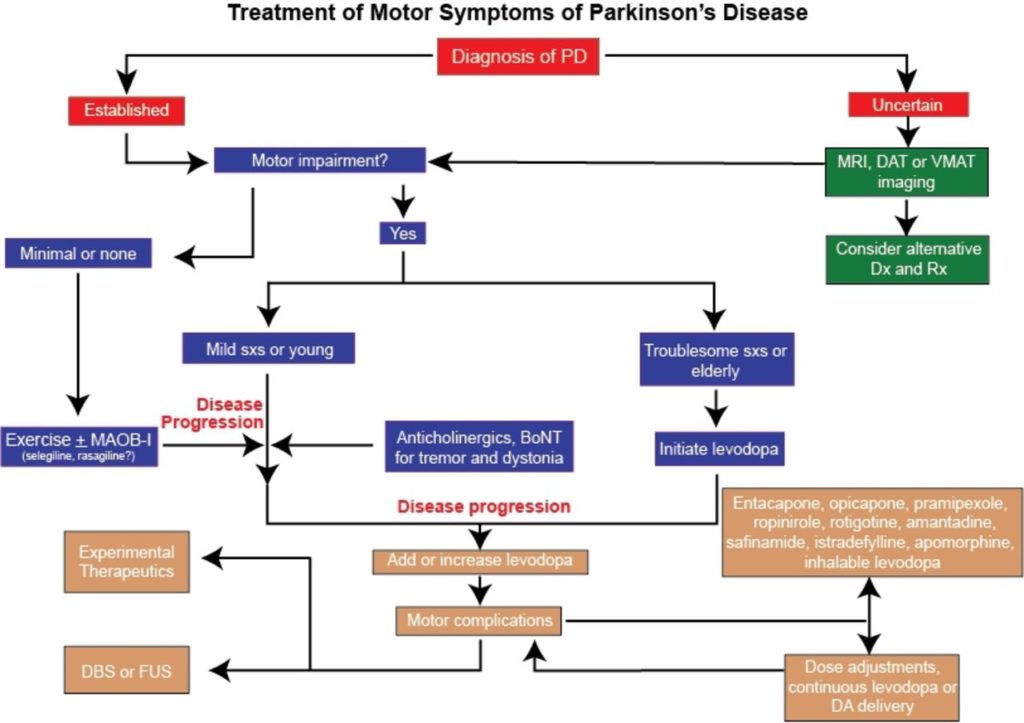Treatment of motor symptoms of Parkinson's disease