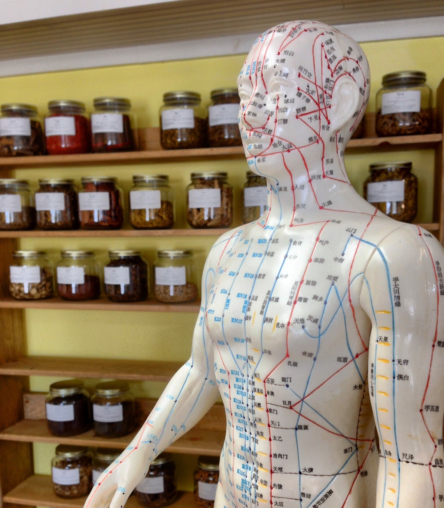TCM and Acupuncture