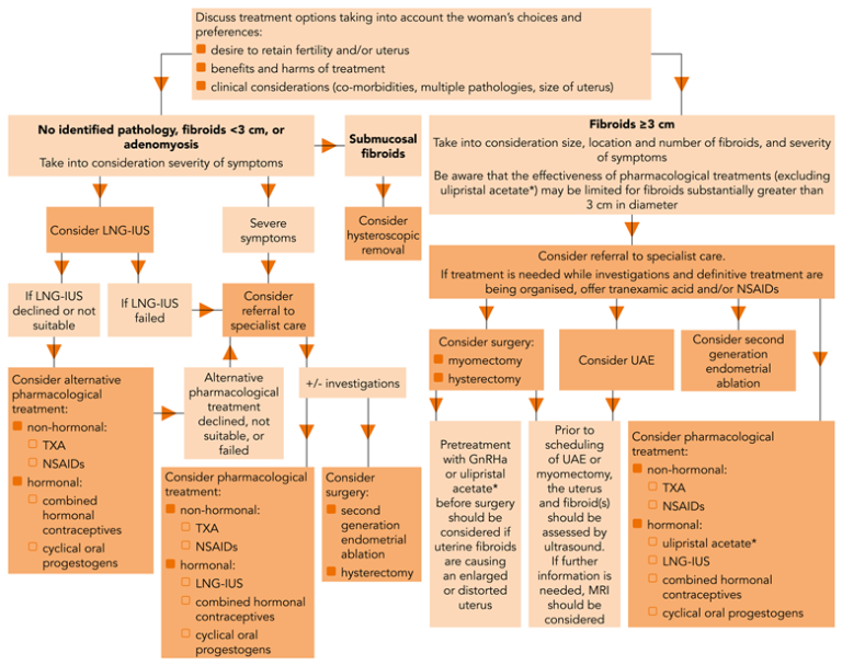 Menorrhagia Treatment Philadelphia Homeopathic Clinic Dr. Tsan & Co.